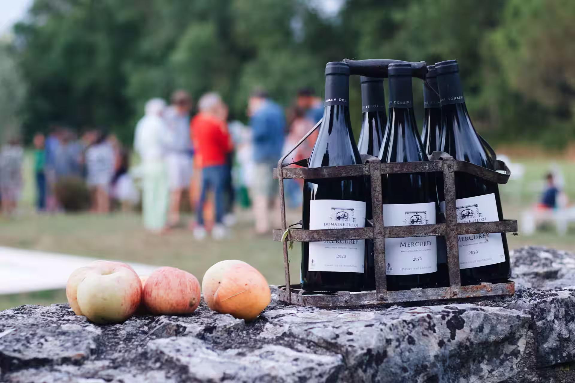 Food and Wine Tasting in Auvergne-Rhône-Alpes, France – Best Spots & Local Tips