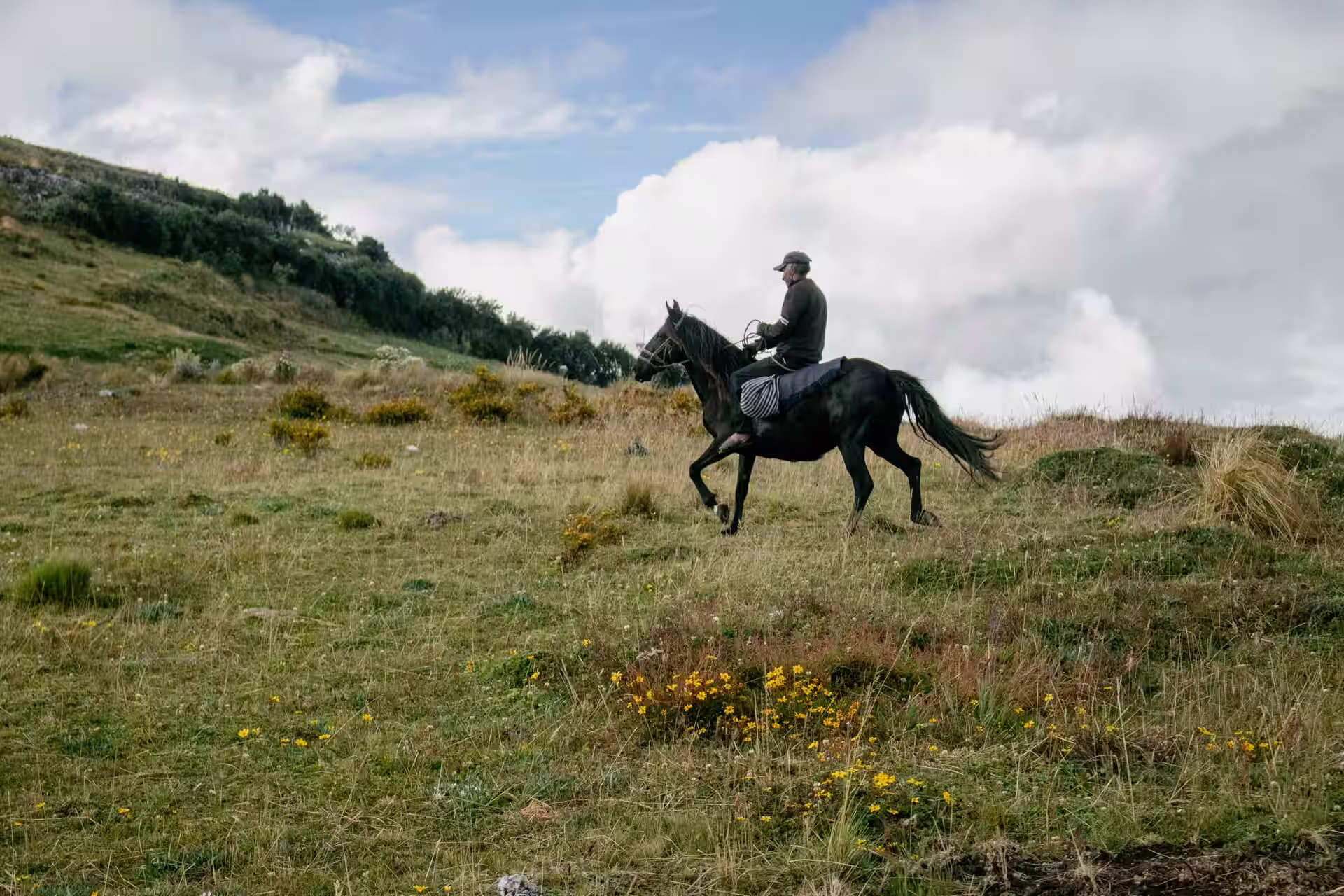 Horse Riding in Auvergne-Rhône-Alpes, France – Best Spots & Local Tips