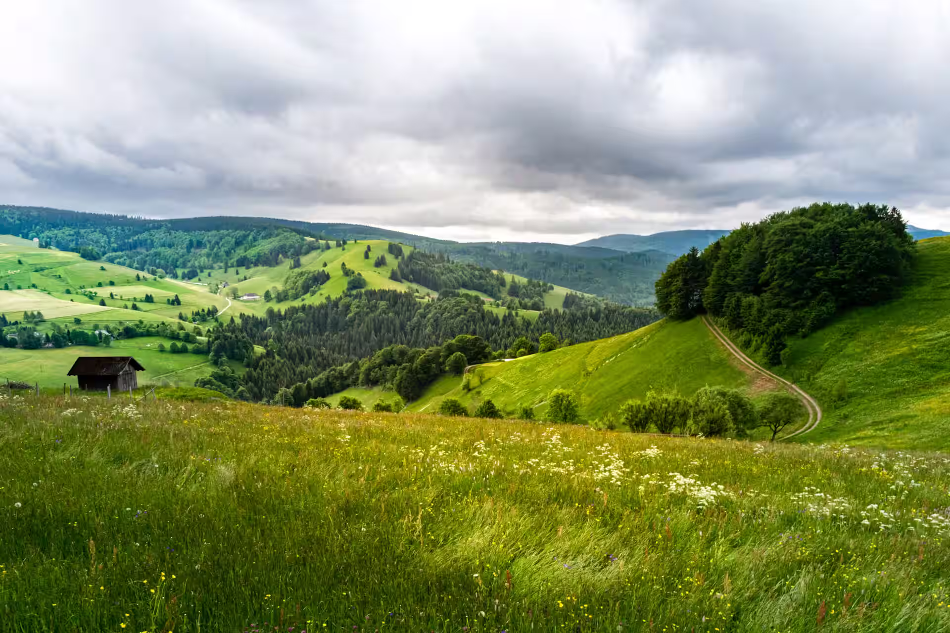 Escursioni nel Baden-Württemberg, Germania: i migliori sentieri e consigli locali