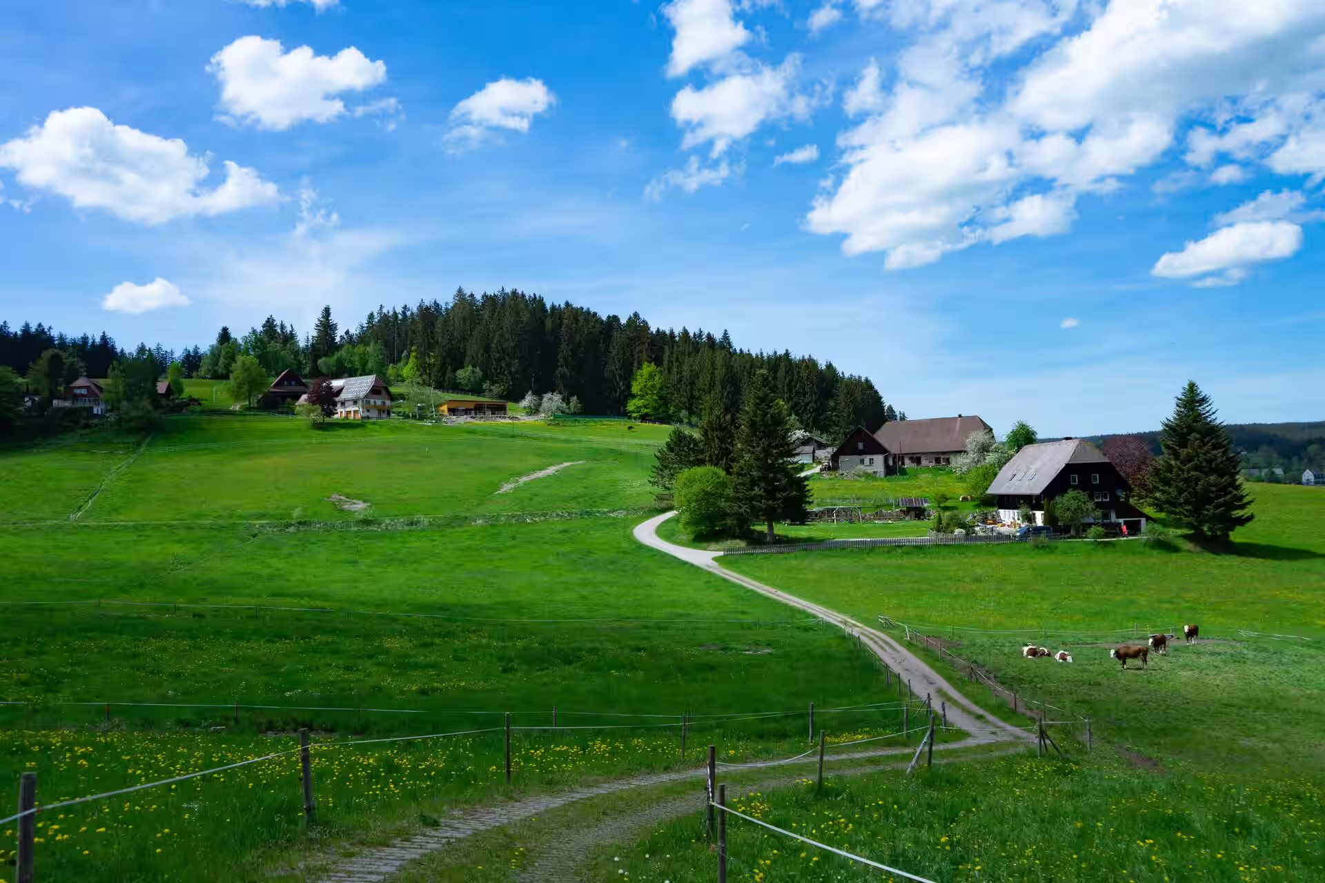 Ciclismo su strada nel Baden-Württemberg, Germania: i migliori percorsi e consigli locali
