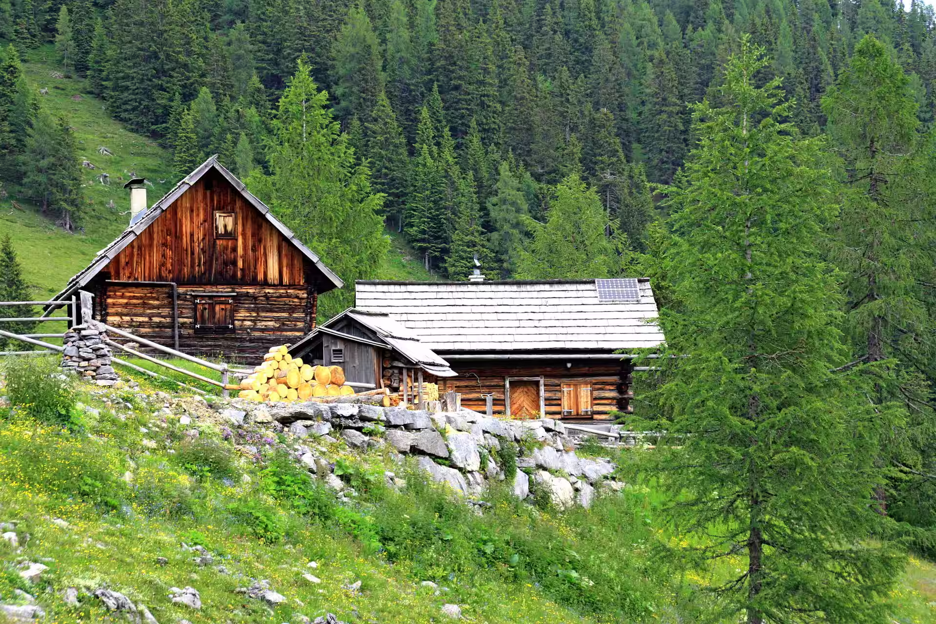 Esplora la natura incontaminata della Carinzia, in Austria, con guide locali