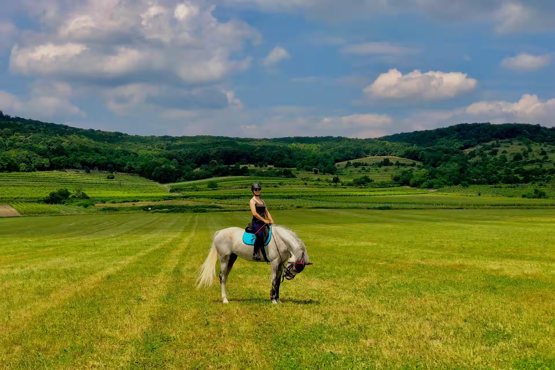 Horse Riding – Techniques, History, Gear & Where to Practice