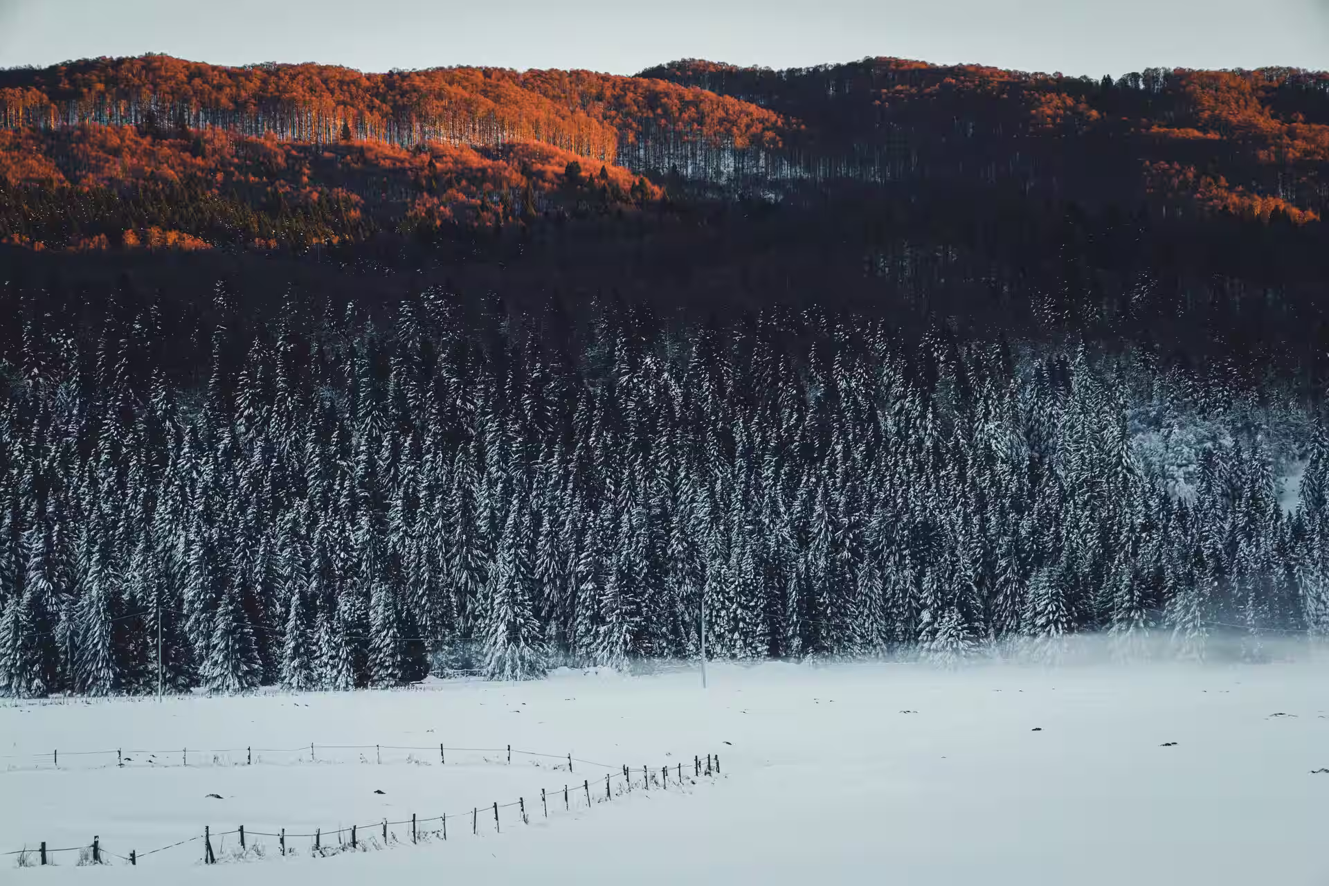 Cross-Country Skiing in Jura, Switzerland – Best Spots & Local Tips