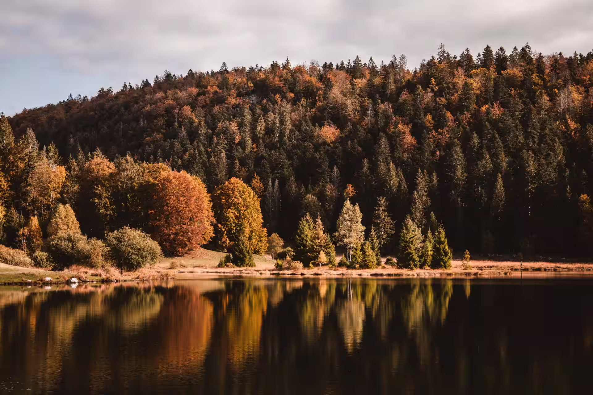 Explore the outdoors of Jura, Switzerland with local guides