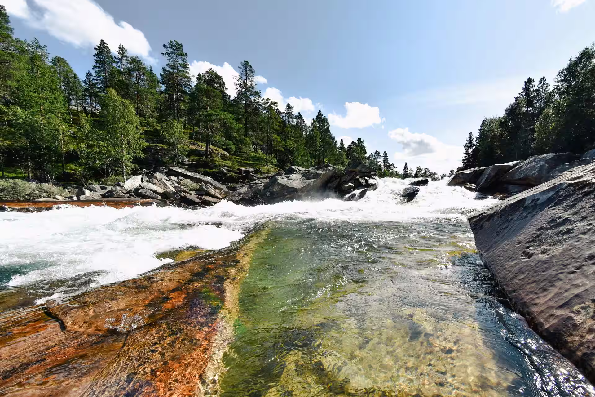 Explore the outdoors of Nordland, Norway with local guides