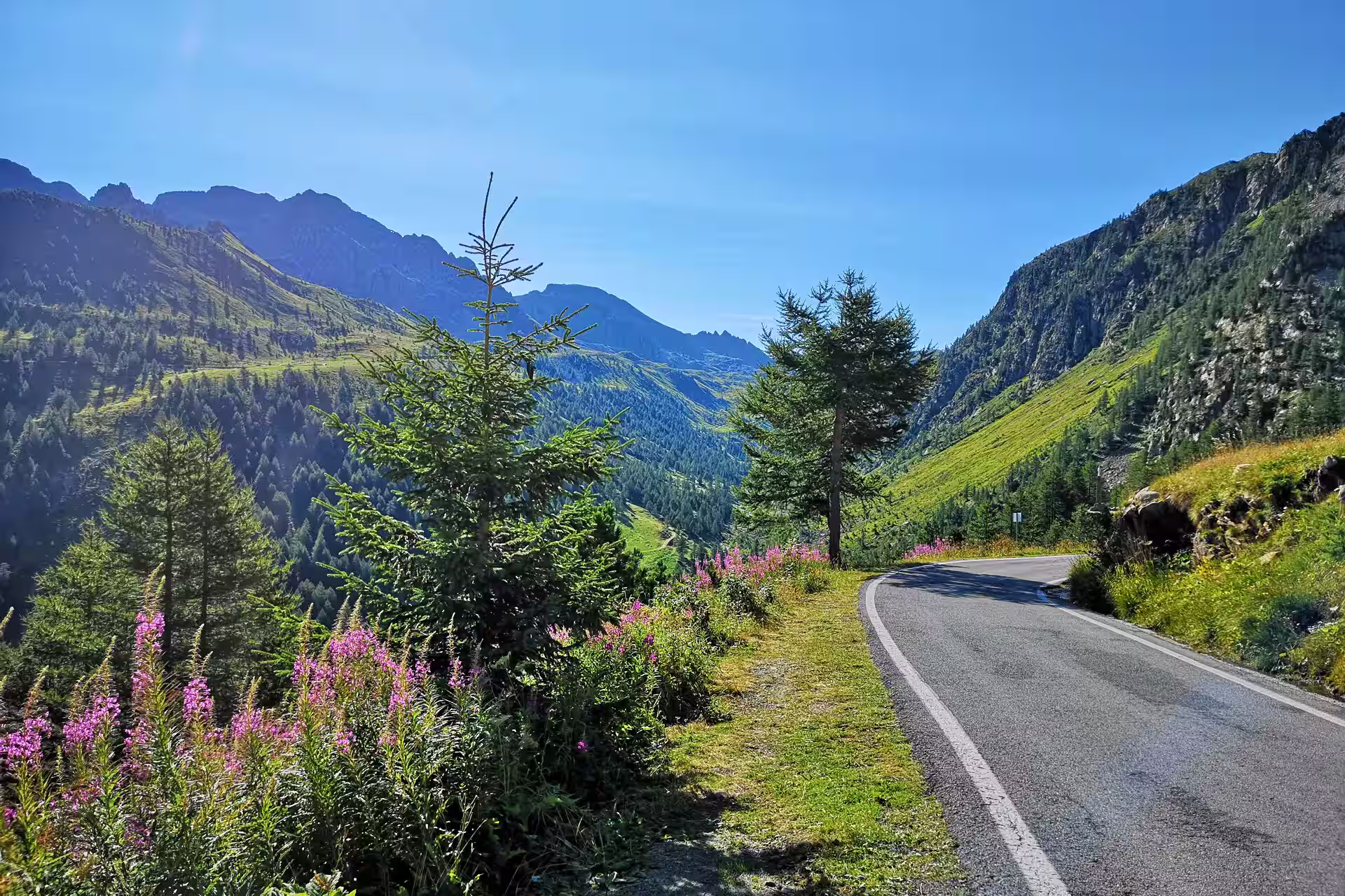 Road Cycling in Piedmont, Italy – Best Spots & Local Tips