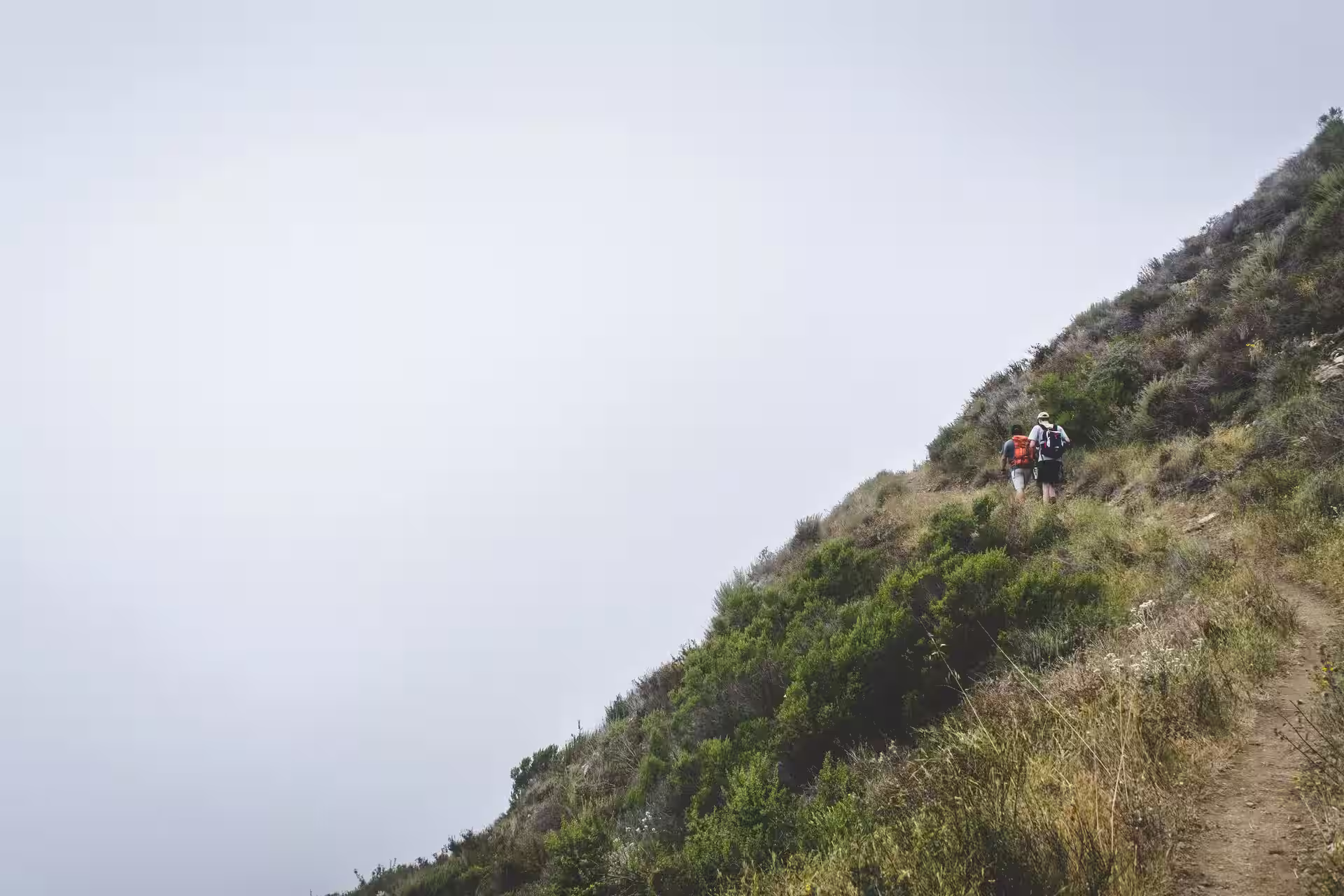 Hiking in Provence-Alpes-Côte d'Azur, France – Best Spots & Local Tips