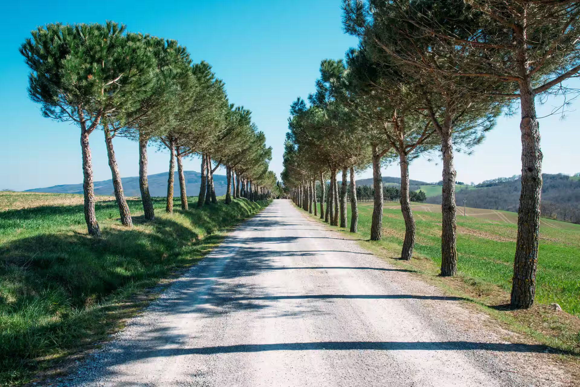 Ciclismo su strada in Toscana, Italia – I migliori spot e consigli locali