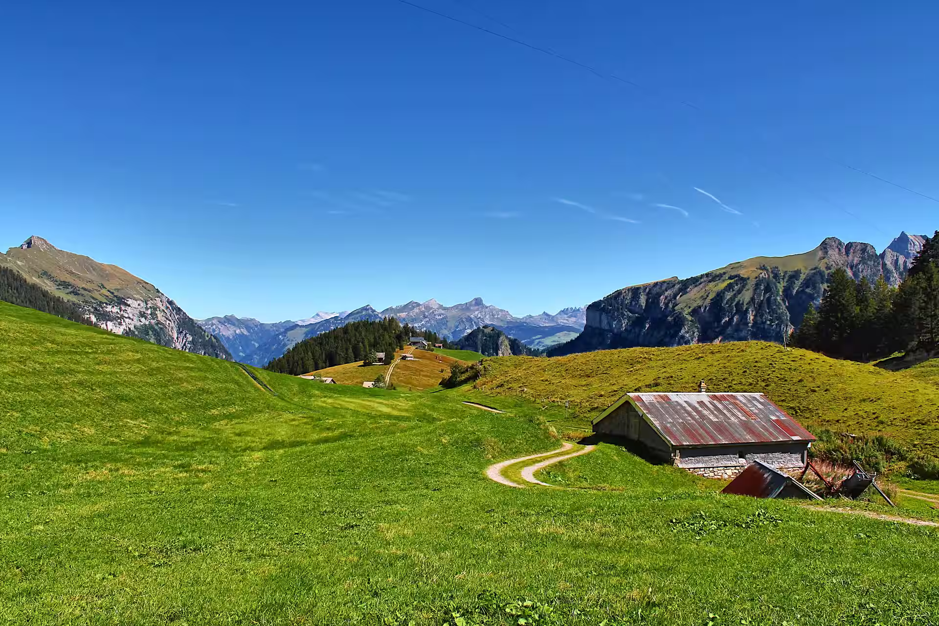 Mountain bike nel canton Uri, Svizzera: sentieri epici e flusso alpino