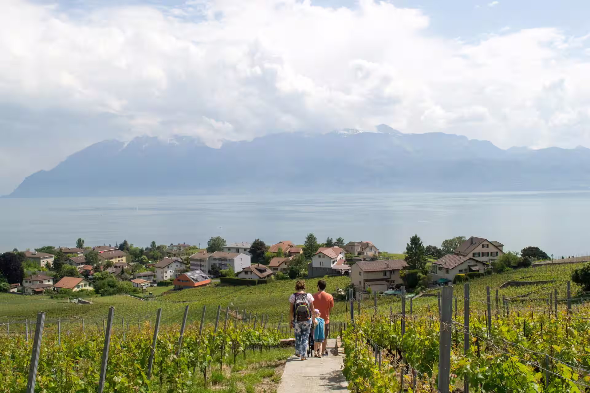 Food & Wine Tasting in Vaud, Switzerland – A Journey for the Senses