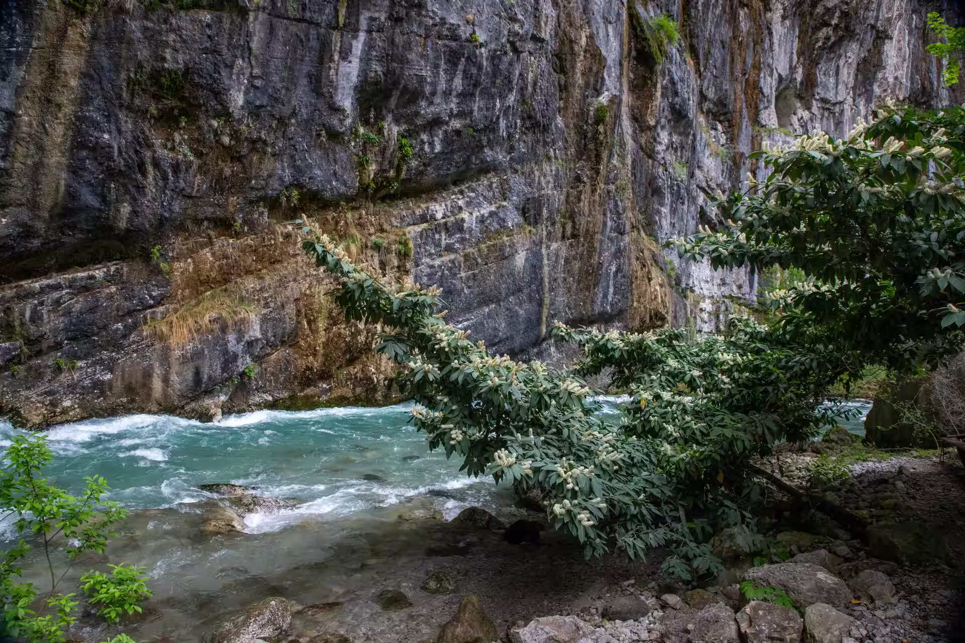 Rafting nel Vorarlberg, Austria: i migliori spot e consigli locali